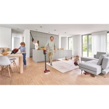 Bosch PORSZÍVÓ ÁLLÓ BBS8214PET