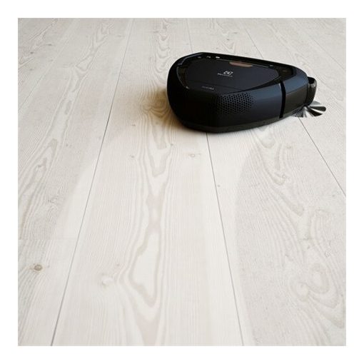 Electrolux ROBOTPORSZÍVÓ PI92-4STN